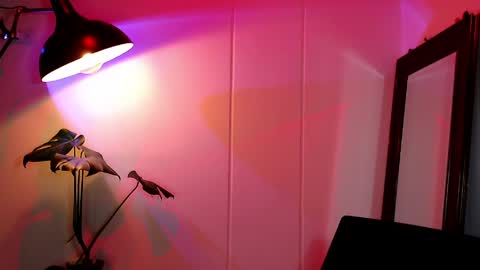 Daniel Steven Navarro online show from April 2026 12:41:01 AM