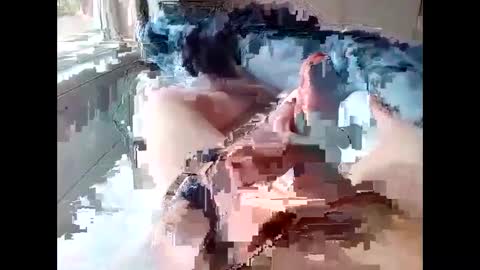 stevie_y19 online show from February 2025 09:34:02 AM