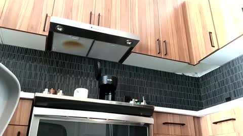 Snapshot of stlhotwifeguy chatting on February 2025 03:36:02 PM stlhotwifeguy online show from February 2025 03:36:02 PM