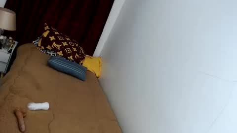 Snapshot of stonehard_sophia chatting on March 2025 01:48:02 AM Cute Sophia online show from March 2025 01:48:02 AM