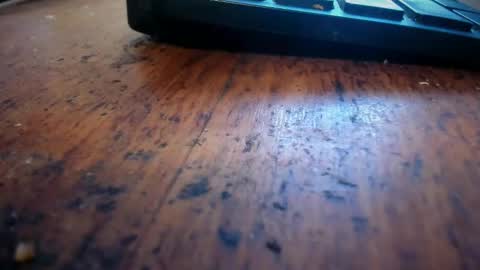 Stoner Dad online show from April 2026 06:46:02 PM