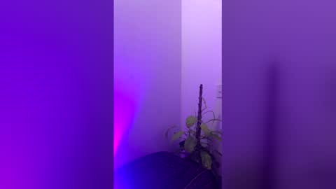 Snapshot of straight_boys_hornys chatting on December 2025 11:50:01 AM straight_boys_hornys online show from December 2025 11:50:01 AM