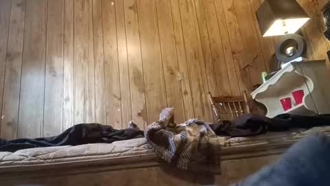 Snapshot of straighttoy chatting on November 2025 03:24:01 PM straighttoy online show from November 2025 03:24:01 PM