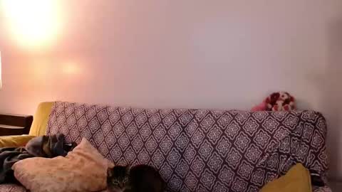 Snapshot of strawberrylotsacake chatting on November 2025 04:07:02 PM Strawberrylotsacake online show from November 2025 04:07:02 PM