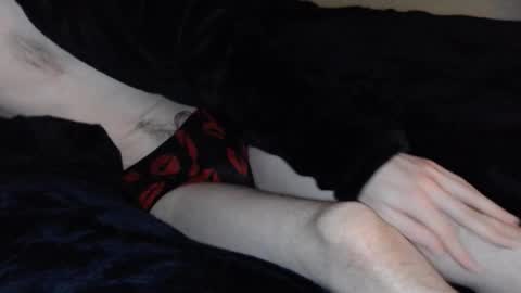 Snapshot of stroknmydong chatting on March 2025 02:10:02 PM Dong Stroker online show from March 2025 02:10:02 PM