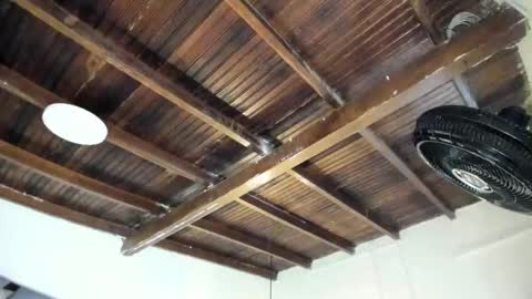 Alexa   online show from February 2026 10:58:02 AM