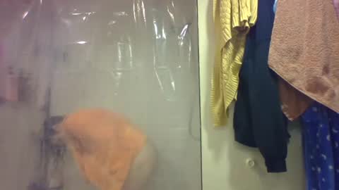 sub4you69brat online show from December 2025 09:33:01 PM