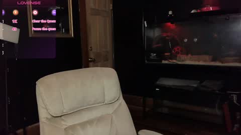 Polly online show from January 2025 05:15:02 PM