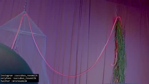 Succubus RoseMilk online show from January 2025 02:53:02 AM