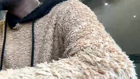 Snapshot of sugarcockydaa chatting on January 2025 10:29:02 AM sugarcockydaa online show from January 2025 10:29:02 AM