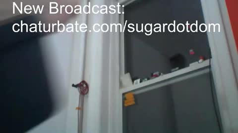 Sugar online show from February 2025 04:05:02 AM