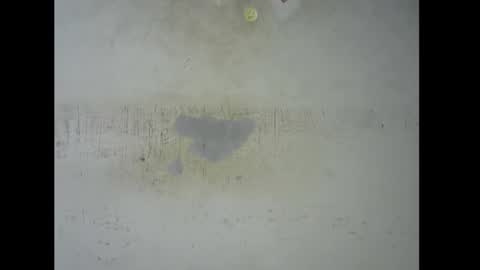 Snapshot of sugarmeltsxx chatting on November 2025 05:44:01 PM Bella online show from November 2025 05:44:01 PM