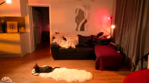 Lika ginger  Jessy blond   online show from April 2026 02:12:02 AM