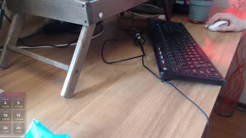 Snapshot of sunnyjoys chatting on February 2025 12:11:02 PM Alina Streams Mon to Fri online show from February 2025 12:11:02 PM