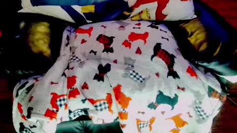 Snapshot of sunnymarcie chatting on February 2025 05:03:02 PM Sunny Marcie online show from February 2025 05:03:02 PM