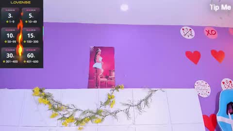 Snapshot of sunnypage chatting on February 2025 08:54:01 PM      online show from February 2025 08:54:01 PM