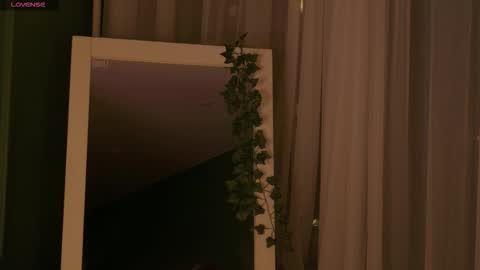 Risha online show from November 2025 05:07:01 AM