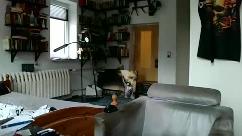 Snapshot of sunr1sa chatting on December 2024 07:49:02 AM sunr1sa online show from December 2024 07:49:02 AM