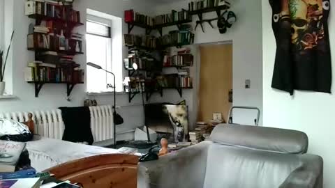 Snapshot of sunr1sa chatting on January 2025 10:41:02 AM sunr1sa online show from January 2025 10:41:02 AM