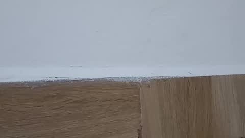 Annie online show from October 2025 05:32:02 PM