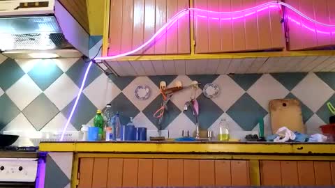 Snapshot of super_jony chatting on November 2025 03:55:01 PM super jony and Marta GMT 1300-1800 every day online show from November 2025 03:55:01 PM