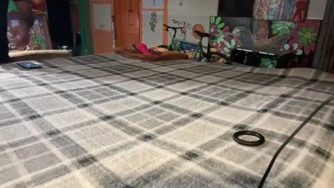 Snapshot of supremelifers chatting on December 2024 10:07:01 AM Stony online show from December 2024 10:07:01 AM