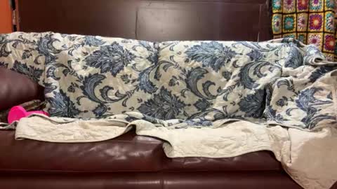 Snapshot of supremelifers chatting on January 2025 07:48:02 AM Stony online show from January 2025 07:48:02 AM