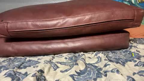 Snapshot of supremelifers chatting on January 2025 11:56:02 AM Stony online show from January 2025 11:56:02 AM