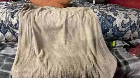 Snapshot of supremelifers chatting on March 2025 09:48:01 PM Stony online show from March 2025 09:48:01 PM