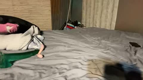 Stony online show from January 2026 07:16:02 PM