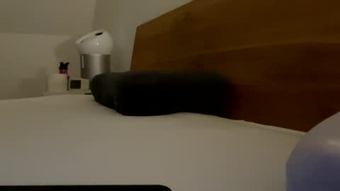 surfstar81 online show from March 2026 09:19:01 PM