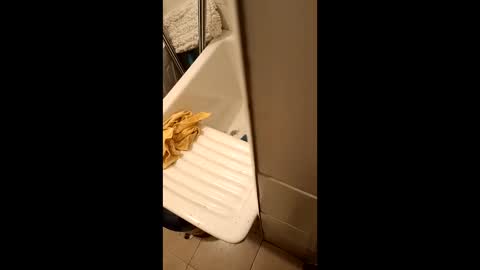 suso9092 online show from March 2026 11:42:02 PM