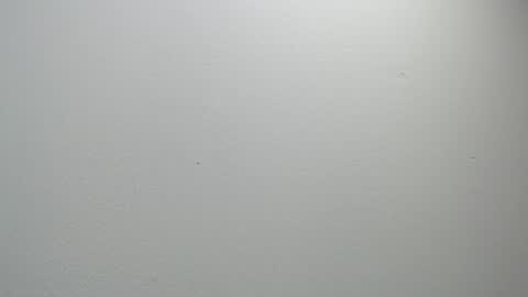 Snapshot of sussy_leon chatting on February 2025 12:05:02 PM sussy leon online show from February 2025 12:05:02 PM