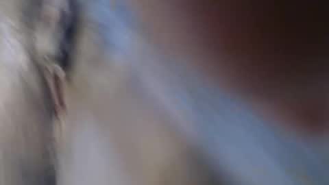 Suzy online show from March 2026 09:13:01 AM