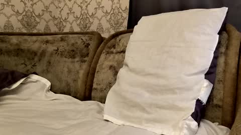 Sweet boy online show from September 2025 11:41:02 PM