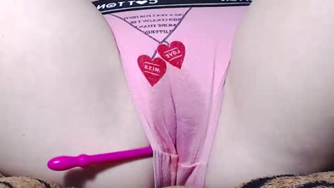 Kitten online show from March 2025 05:50:02 AM