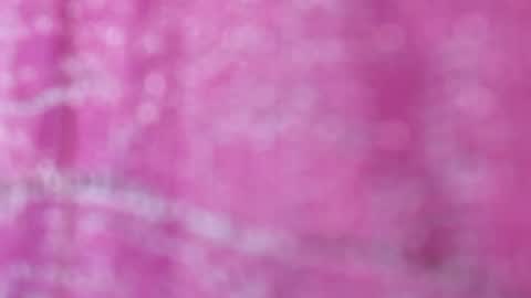 Nina online show from January 2025 12:13:02 AM