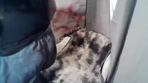 RUBY online show from November 2025 02:55:02 AM