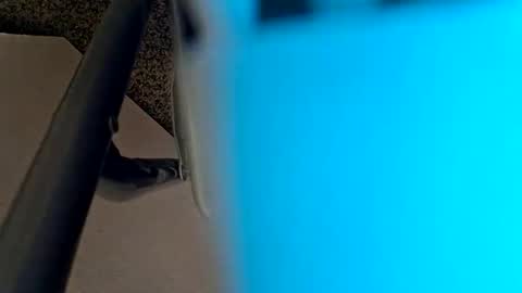 Snapshot of sweetboy842 chatting on January 2025 02:32:01 AM sweetboy842 online show from January 2025 02:32:01 AM