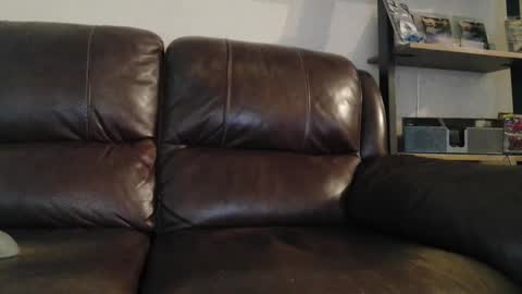 sweetcocksean online show from March 2026 11:43:02 PM