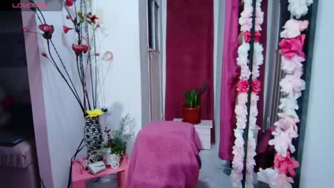 sweef online show from January 2025 05:00:01 AM