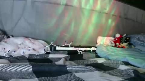 April online show from January 2026 09:03:02 AM