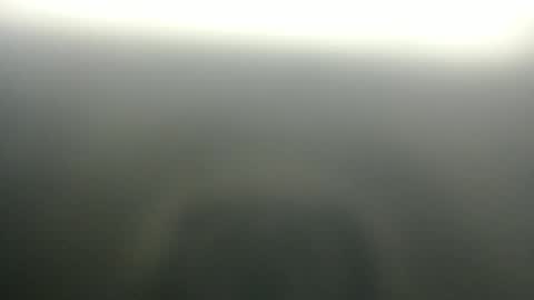 slim ivy online show from April 2026 03:59:01 AM