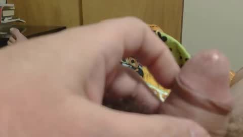 Snapshot of sweetrevengelol chatting on December 2025 09:33:01 PM SweetRevenge online show from December 2025 09:33:01 PM