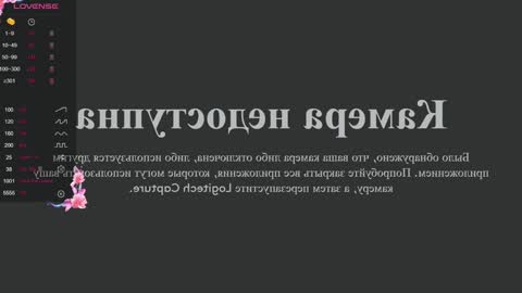 Snapshot of sweety_vikky chatting on January 2025 12:16:02 AM Vikky online show from January 2025 12:16:02 AM