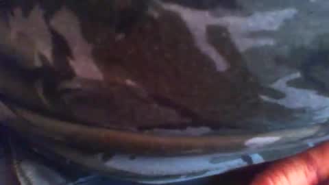 swils67 online show from April 2026 05:05:02 PM