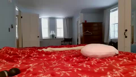 Snapshot of switchykitty chatting on February 2025 08:45:02 PM ashley blayde online show from February 2025 08:45:02 PM