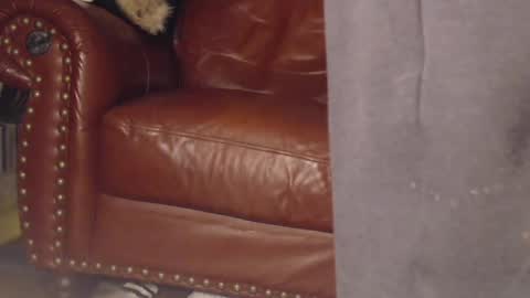 The DickGod online show from March 2025 04:05:02 AM