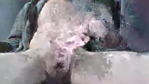 sybomec online show from March 2026 02:34:01 PM