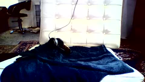 Snapshot of syd666 chatting on December 2024 02:05:02 PM subfordomme online show from December 2024 02:05:02 PM